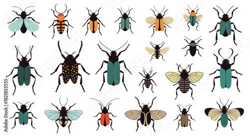 Diverse collection of colorful stylized insects including beetles bugs and flies isolated on a white background for entomology.