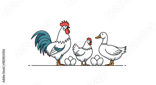 Cartoon illustration of farm birds including a rooster a hen and a duck with fresh eggs on a clean white background.