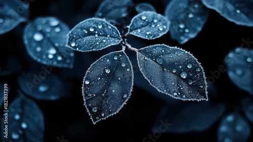 A captivating image showcasing leaves adorned with sparkling dew drops, emphasizing the beauty of nature and the serenity of still moments in a darkened environment.