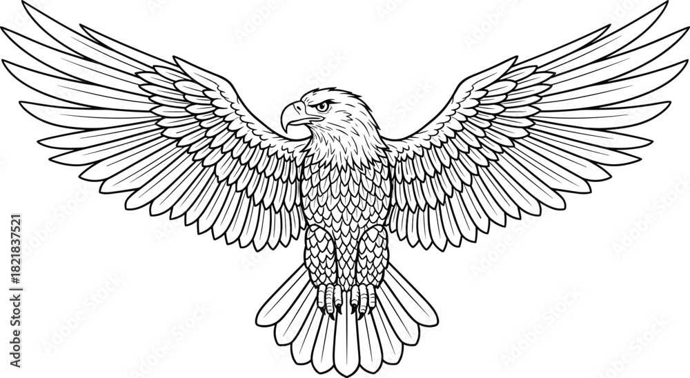 Fototapeta premium Eagle vector illustration, black and white line art, symmetrical wings spread, detailed feathers, powerful talons, front view, majestic bird, wildlife, predator