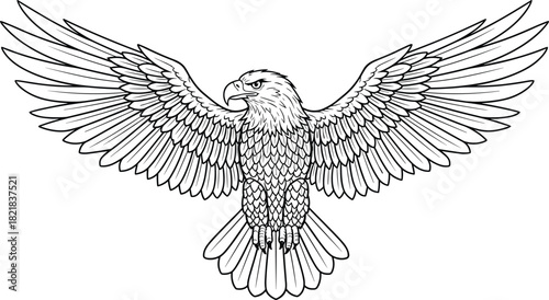 Eagle vector illustration, black and white line art, symmetrical wings spread, detailed feathers, powerful talons, front view, majestic bird, wildlife, predator