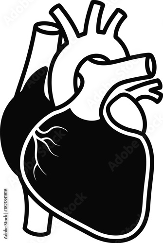Simple black and white illustration of a human heart with major vessels