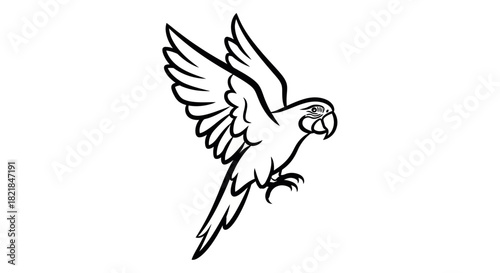 Adobe Illustrator Artwork