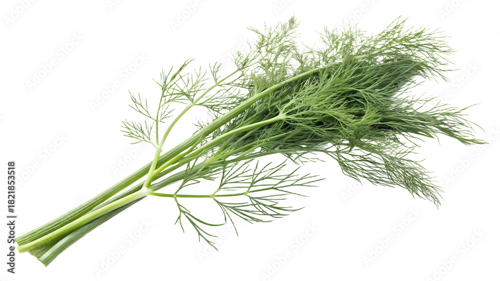 Fototapeta premium Dill isolated on transparent background 