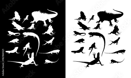 iguana silhouette set vector illustration, lizard silhouette set vector illustration, lizard silhouette black, lizard silhouette, vector, insect silhouette vector illustration, black, vector,