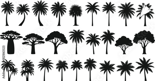 Palm tree silhouettes, tropical tree vector set, exotic jungle foliage, black botanical icons, nature clipart, summer landscape elements, isolated graphic collection