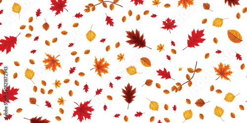 Autumn leaves falling seamless pattern on white background for seasonal design