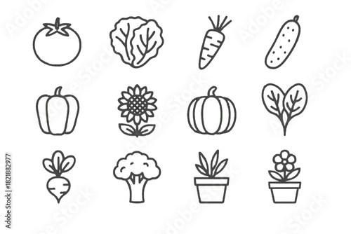Spinach sunflower plant icons flower organic pumpkin icon radish lettuce pepper vector