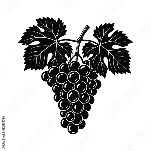 Detailed grape cluster with leaves in black and white illustration