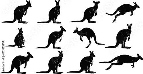 Kangaroo silhouette collection australian wildlife vector illustration set