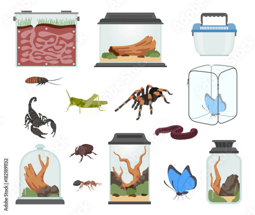 A set of insect terrariums with various species and habitats, designed for observing and maintaining insects in a controlled environment.