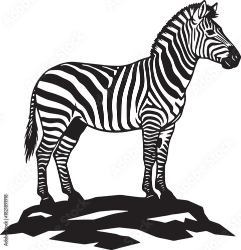 Zebra