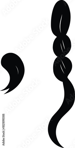 Stylized black hair braid or ponytail with a curved comma-like abstract graphic element, isolated vector illustration on white isolated on transparent background, Vector