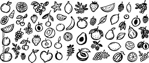 Hand-drawn fruit doodle set in black ink, featuring apples, berries, citrus, cherries, pears, kiwi, grapes and various tropical fruits in simple sketch style on transparent background
