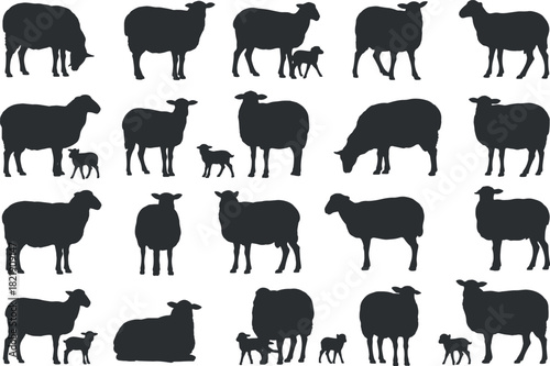 Sheep and Lamb Silhouette Collection - Vector Set of Domestic Ovine Farm