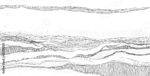 Black and white cross section illustration of layered geological strata with varied textures abstract