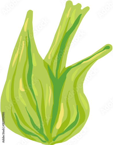 Fenouil Illustration vectorielle colorée d'un fruit  ou d'un légume.. Parfait pour jus, smoothies, cocktails, emballage de produits estivaux ou recettes de cuisine.. Légume Vert Feuille Frais