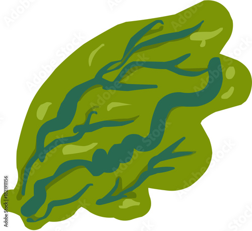 La salade Illustration vectorielle colorée d'un fruit  ou d'un légume.. Parfait pour jus, smoothies, cocktails, emballage de produits estivaux ou recettes de cuisine..