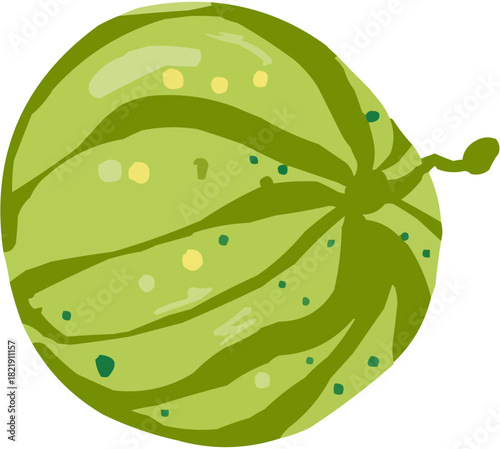 Pastèque Illustration vectorielle colorée d'une courge ou d'un légume rond. Parfait pour jus, smoothies, cocktails, emballage de produits estivaux ou recettes de cuisine..