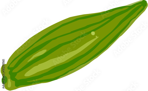 Gombo okra Illustration vectorielle colorée d'un fruit  ou d'un légume.. Parfait pour jus, smoothies, cocktails, emballage de produits estivaux ou recettes de cuisine..