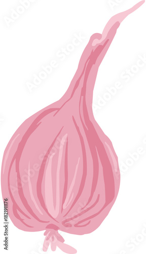 Un oignon Illustration vectorielle colorée d'un fruit  ou d'un légume.. Parfait pour jus, smoothies, cocktails, emballage de produits estivaux ou recettes de cuisine..