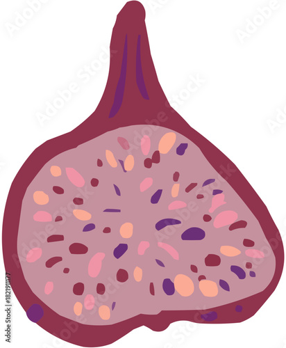 Figue Illustration vectorielle colorée d'un fruit  ou d'un légume.. Parfait pour jus, smoothies, cocktails, emballage de produits estivaux ou recettes de cuisine..
