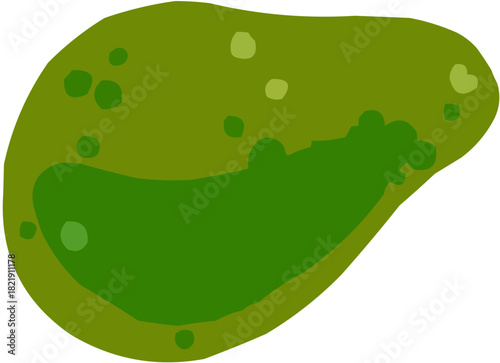 Avocat. Illustration vectorielle colorée d'un fruit  ou d'un légume.. Parfait pour jus, smoothies, cocktails, emballage de produits estivaux ou recettes de cuisine..