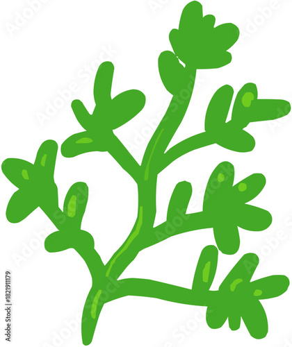 Du persil. Illustration vectorielle colorée d'un fruit  ou d'un légume.. Parfait pour jus, smoothies, cocktails, emballage de produits estivaux ou recettes de cuisine..