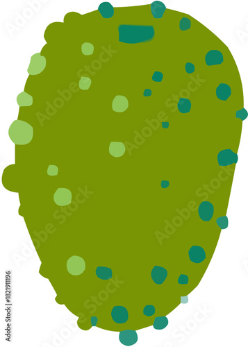 Illustration vectorielle colorée d'un fruit  ou d'un légume. Un kiwi.  Parfait pour jus, smoothies, cocktails, emballage de produits estivaux ou recettes de cuisine..