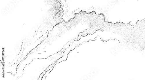 Black and white abstract textured organic shapes with fine dot patterns vector