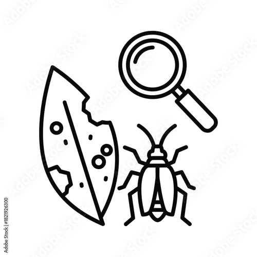 Line icon of insect pest damage on leaf with magnifying glass