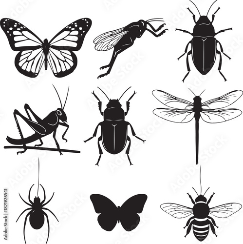 A collection of detailed black and white illustrations of various insects including butterflies, beetles, grasshoppers, dragonflies, spiders, and bees.
