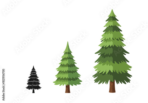 Pine Trees Illustration A Set of Evergreen Conifers for Design and Nature-Themed Projects