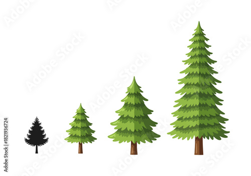 Collection of four fir trees of varying sizes and heights against a white background