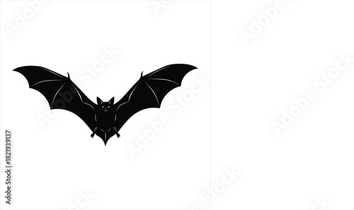 Black bat silhouette flying on white background for halloween