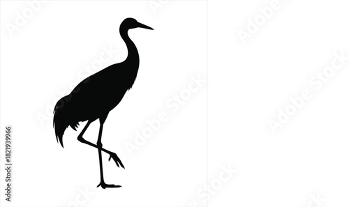 Elegant sandhill crane silhouette standing gracefully on one leg