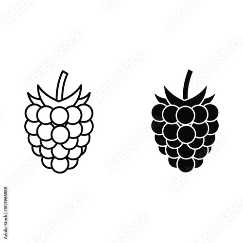 Two stylized raspberries one outline and one solid black silhouette