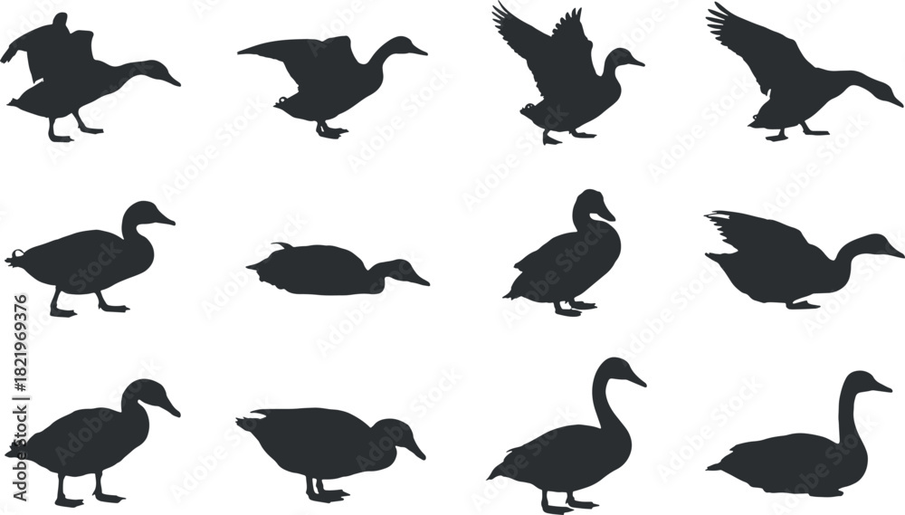 Fototapeta premium Duck and Goose Silhouette Set – Waterfowl Bird Vector Collection in Various Poses