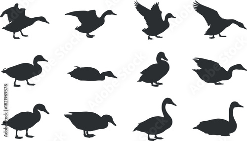 Duck and Goose Silhouette Set – Waterfowl Bird Vector Collection in Various Poses