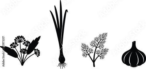 Herb and vegetable silhouettes, garlic, dill, green onion, botanical plant icons, black vector illustration, culinary herbs graphic set design