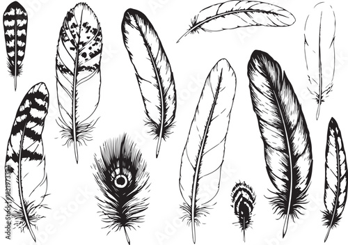 Grass silhouettes vector illustration with nature feather and bird design pattern icon set