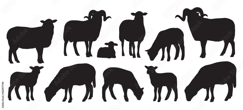 Naklejka premium Sheep & Ram Silhouettes Set