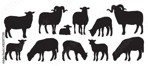 Sheep & Ram Silhouettes Set