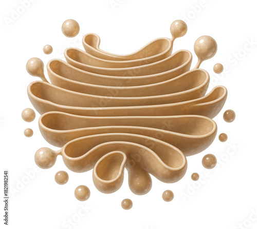Golgi apparatus with layered cisternae and vesicular transport features.