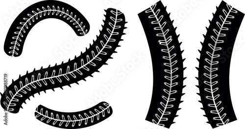 Vector illustration of black insect legs with joint details