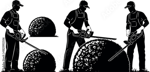 Silhouette of gardener trimming bushes with hedge trimmer tool