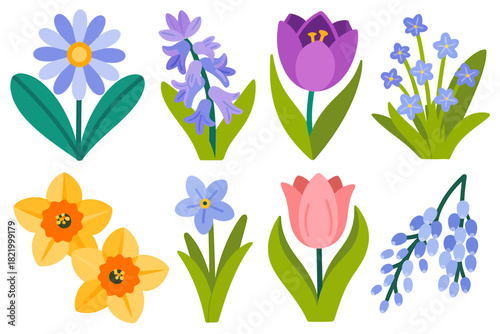 Colorful Spring Flowers Assortment Illustration Daisy Daffodil Hyacinth Tulip Grape Hyacinth and ForgetMeNot Botanical Decoration