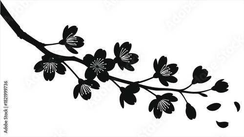 Cherry blossom branch silhouette vector. Japanese sakura flower in bloom with falling petals. Minimalist black and white floral art isolated on white background for spring