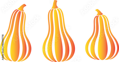 Three elongated gourds with gradient orange and yellow colors arranged on a white background Keywords: gourd, squash, butternut squash, pumpkin, autumn, fall, harvest, on transparent background