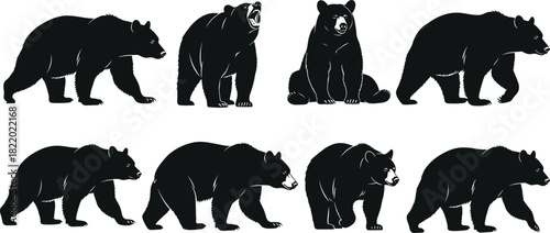 Set of Black Bear Silhouettes Walking Sitting Roaring Wild Animal Mammal Grizzly Nature Wildlife Danger Strength Power Vector Illustration Icon